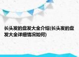 長頭發(fā)的盤發(fā)大全介紹(長頭發(fā)的盤發(fā)大全詳細(xì)情況如何)