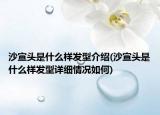 沙宣頭是什么樣發(fā)型介紹(沙宣頭是什么樣發(fā)型詳細情況如何)