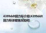 4399ddt回力標介紹(4399ddt回力標詳細情況如何)