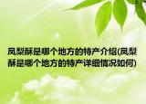 鳳梨酥是哪個地方的特產(chǎn)介紹(鳳梨酥是哪個地方的特產(chǎn)詳細情況如何)