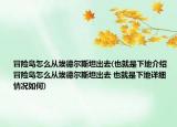 冒險(xiǎn)島怎么從埃德?tīng)査固钩鋈?也就是下地介紹 冒險(xiǎn)島怎么從埃德?tīng)査固钩鋈?也就是下地詳細(xì)情況如何)