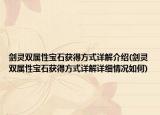 劍靈雙屬性寶石獲得方式詳解介紹(劍靈雙屬性寶石獲得方式詳解詳細(xì)情況如何)