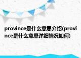 province是什么意思介紹(province是什么意思詳細(xì)情況如何)