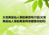 火龍果是仙人掌的果實(shí)嗎介紹(火龍果是仙人掌的果實(shí)嗎詳細(xì)情況如何)