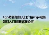 Fgo萌新如何入門介紹(Fgo萌新如何入門詳細情況如何)