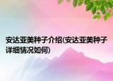 安達(dá)亞美種子介紹(安達(dá)亞美種子詳細(xì)情況如何)