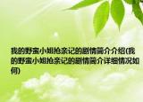 我的野蠻小姐搶親記的劇情簡介介紹(我的野蠻小姐搶親記的劇情簡介詳細情況如何)