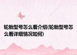 輪胎型號怎么看介紹(輪胎型號怎么看詳細情況如何)