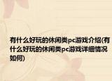 有什么好玩的休閑類pc游戲介紹(有什么好玩的休閑類pc游戲詳細(xì)情況如何)