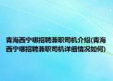 青海西寧哪招聘兼職司機介紹(青海西寧哪招聘兼職司機詳細情況如何)