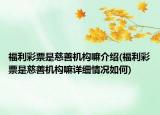 福利彩票是慈善機(jī)構(gòu)嘛介紹(福利彩票是慈善機(jī)構(gòu)嘛詳細(xì)情況如何)
