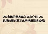 QQ農(nóng)場(chǎng)的薰衣草怎么來(lái)介紹(QQ農(nóng)場(chǎng)的薰衣草怎么來(lái)詳細(xì)情況如何)