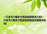 一只金毛大概多少錢該如何挑選介紹(一只金毛大概多少錢該如何挑選詳細情況如何)