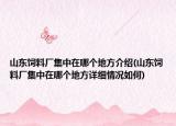 山東飼料廠集中在哪個(gè)地方介紹(山東飼料廠集中在哪個(gè)地方詳細(xì)情況如何)