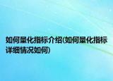 如何量化指標(biāo)介紹(如何量化指標(biāo)詳細(xì)情況如何)