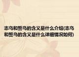 志鳥和誓鳥的含義是什么介紹(志鳥和誓鳥的含義是什么詳細情況如何)