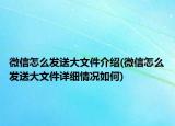 微信怎么發(fā)送大文件介紹(微信怎么發(fā)送大文件詳細情況如何)