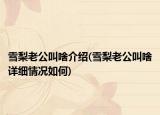 雪梨老公叫啥介紹(雪梨老公叫啥詳細情況如何)