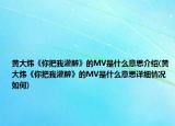 黃大煒《你把我灌醉》的MV是什么意思介紹(黃大煒《你把我灌醉》的MV是什么意思詳細情況如何)