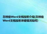怎樣給Word文檔加密介紹(怎樣給Word文檔加密詳細情況如何)