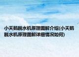 小天鵝脫水機(jī)原理圖解介紹(小天鵝脫水機(jī)原理圖解詳細(xì)情況如何)