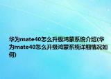 華為mate40怎么升級(jí)鴻蒙系統(tǒng)介紹(華為mate40怎么升級(jí)鴻蒙系統(tǒng)詳細(xì)情況如何)