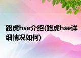 路虎hse介紹(路虎hse詳細(xì)情況如何)