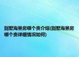 別墅海景房哪個(gè)貴介紹(別墅海景房哪個(gè)貴詳細(xì)情況如何)