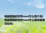 電腦版我的世界mod怎么用介紹(電腦版我的世界mod怎么用詳細(xì)情況如何)