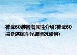 神武60裝備滿屬性介紹(神武60裝備滿屬性詳細情況如何)