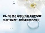 DNF賬號(hào)倉庫怎么升級(jí)介紹(DNF賬號(hào)倉庫怎么升級(jí)詳細(xì)情況如何)