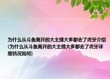 為什么從斗魚(yú)離開(kāi)的大主播大多都去了虎牙介紹(為什么從斗魚(yú)離開(kāi)的大主播大多都去了虎牙詳細(xì)情況如何)