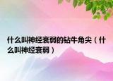 什么叫神經(jīng)衰弱的鉆牛角尖（什么叫神經(jīng)衰弱）