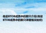他是BTOB成員中的那只介紹(他是BTOB成員中的那只詳細情況如何)