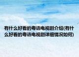 有什么好看的粵語電視劇介紹(有什么好看的粵語電視劇詳細情況如何)