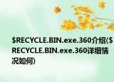 $RECYCLE.BIN.exe.360介紹($RECYCLE.BIN.exe.360詳細(xì)情況如何)