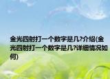 金光四射打一個(gè)數(shù)字是幾?介紹(金光四射打一個(gè)數(shù)字是幾?詳細(xì)情況如何)