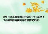 流星飛過小熊座的內(nèi)容簡介介紹(流星飛過小熊座的內(nèi)容簡介詳細情況如何)