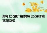 奧特七兄弟介紹(奧特七兄弟詳細(xì)情況如何)