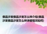 傲品沙發(fā)傲品沙發(fā)怎么樣介紹(傲品沙發(fā)傲品沙發(fā)怎么樣詳細情況如何)