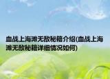 血戰(zhàn)上海灘無(wú)敵秘籍介紹(血戰(zhàn)上海灘無(wú)敵秘籍詳細(xì)情況如何)