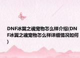 DNF冰翼之魂寵物怎么樣介紹(DNF冰翼之魂寵物怎么樣詳細(xì)情況如何)