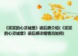 《泥泥的心靈城堡》讀后感介紹(《泥泥的心靈城堡》讀后感詳細(xì)情況如何)