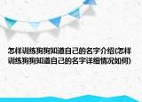 怎樣訓(xùn)練狗狗知道自己的名字介紹(怎樣訓(xùn)練狗狗知道自己的名字詳細(xì)情況如何)