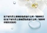地下城與勇士黑硬的物質(zhì)是什么啊~?哪弄啊介紹(地下城與勇士黑硬的物質(zhì)是什么啊~?哪弄啊詳細(xì)情況如何)
