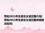 想知2011年生男生女清宮圖介紹(想知2011年生男生女清宮圖詳細(xì)情況如何)
