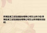青海鹽湖工業(yè)集團股份有限公司怎么樣介紹(青海鹽湖工業(yè)集團股份有限公司怎么樣詳細情況如何)