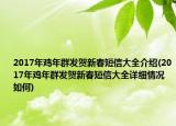 2017年雞年群發(fā)賀新春短信大全介紹(2017年雞年群發(fā)賀新春短信大全詳細情況如何)