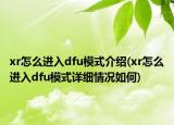 xr怎么進入dfu模式介紹(xr怎么進入dfu模式詳細情況如何)