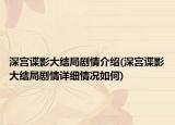 深宮諜影大結(jié)局劇情介紹(深宮諜影大結(jié)局劇情詳細(xì)情況如何)